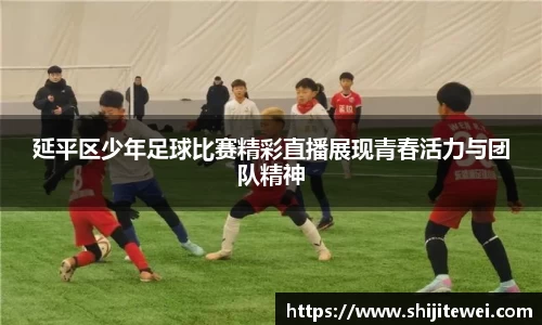延平区少年足球比赛精彩直播展现青春活力与团队精神